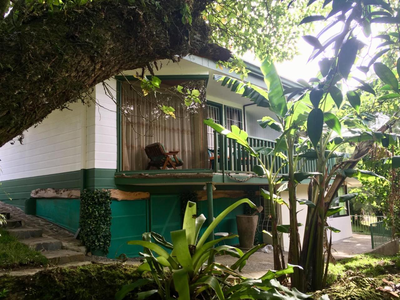Paris Confort B&B Monteverde ภายนอก รูปภาพ